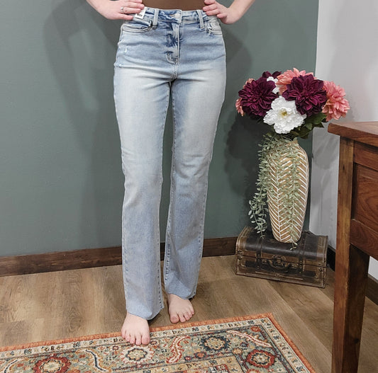 Judy Blue Mid Rise Dad Jean