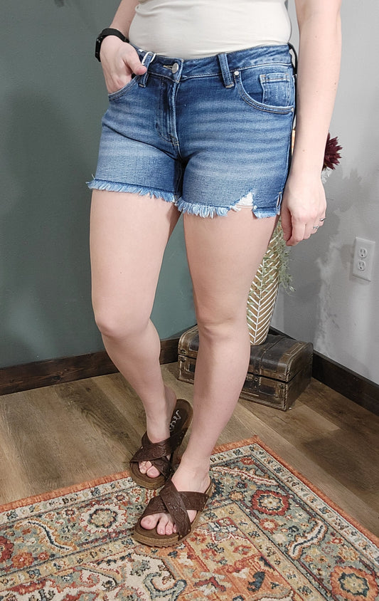 Risen Low Rise Frayed Hem Denim Short