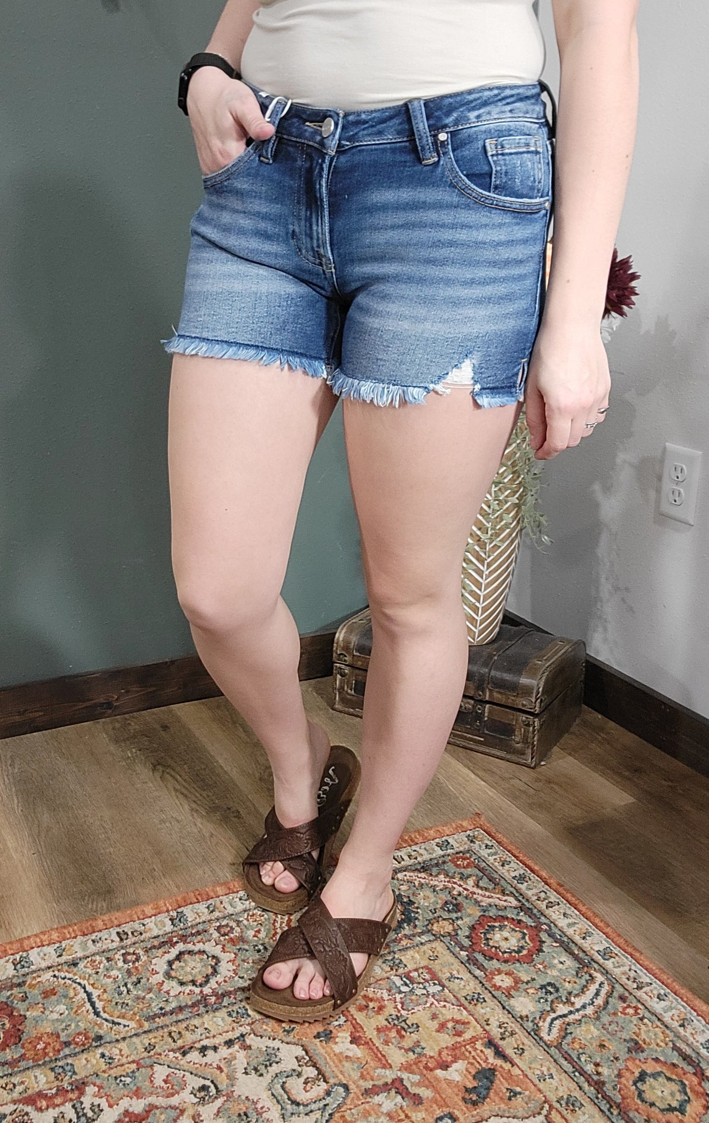 Risen Low Rise Frayed Hem Denim Short