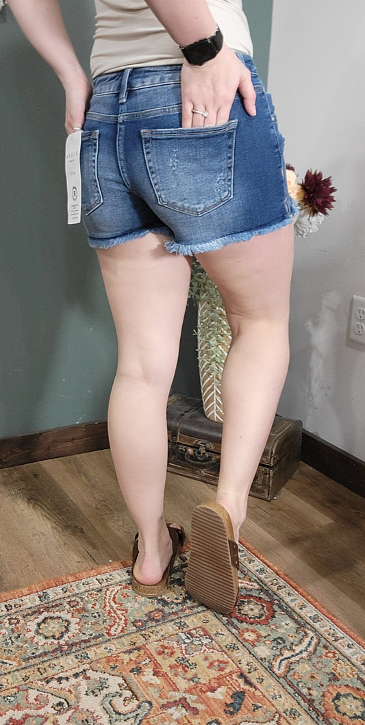 Risen Low Rise Frayed Hem Denim Short